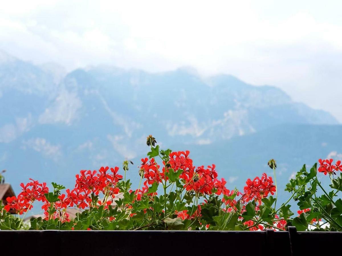 La Casa Di Michela - 120M2 In The Mountains With Fireplace & Garden Strigno Exteriér fotografie